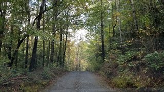 The Shack at Shortoff