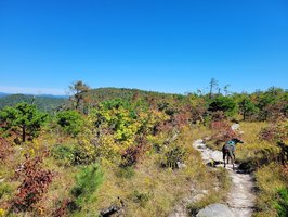 The Shack at Shortoff