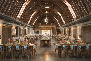 Thistle & Twig Flowers