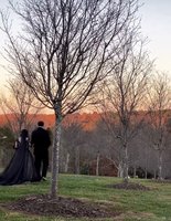 Thistle & Twig Flowers