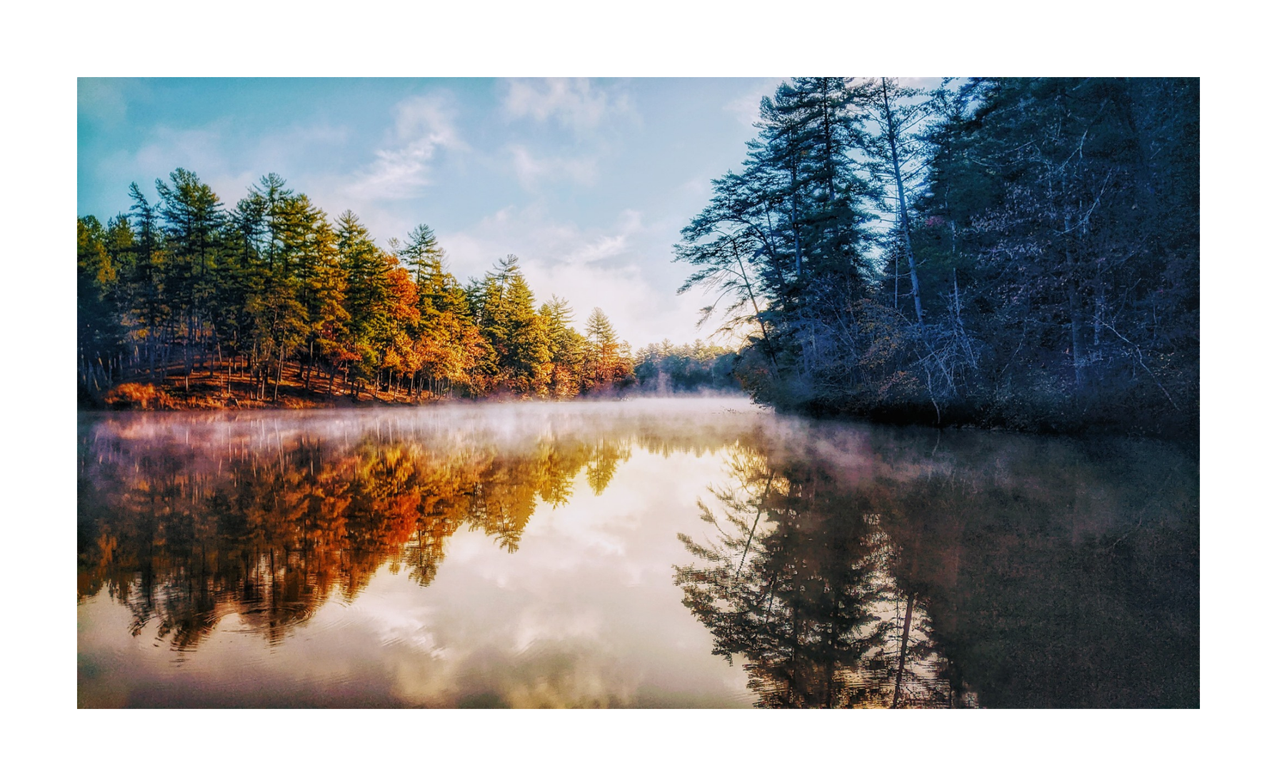 Untitled design (39).png