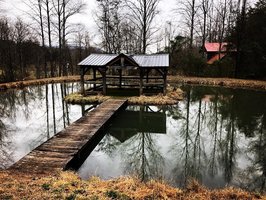 Vacation Rental- Charming Waterfront, Rustic Bungalow