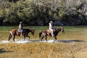 Vacation Rental- Queens Pond Retreat