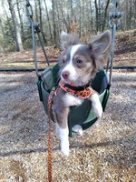 Valdese Children's Park