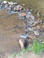 Valdese Children's Park