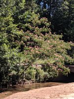 Valdese Children's Park