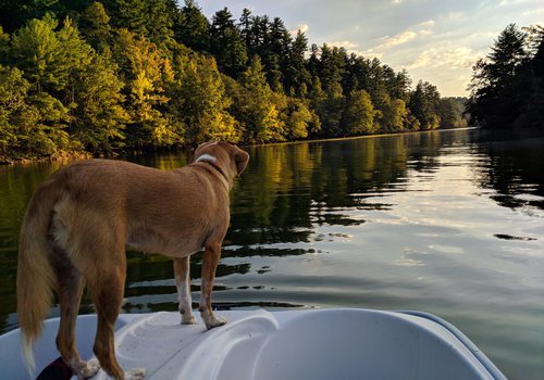 Valdese Lakeside Park.jpg