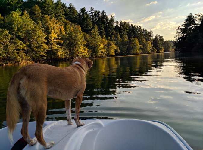 Valdese Lakeside Park.jpg