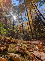 Winter Hikes