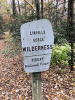 Winter Hikes