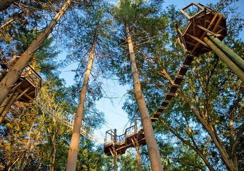 Beanstalk Zip Lines Featured Image