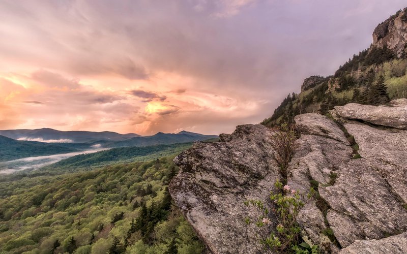 grandfather mountain2.jpg