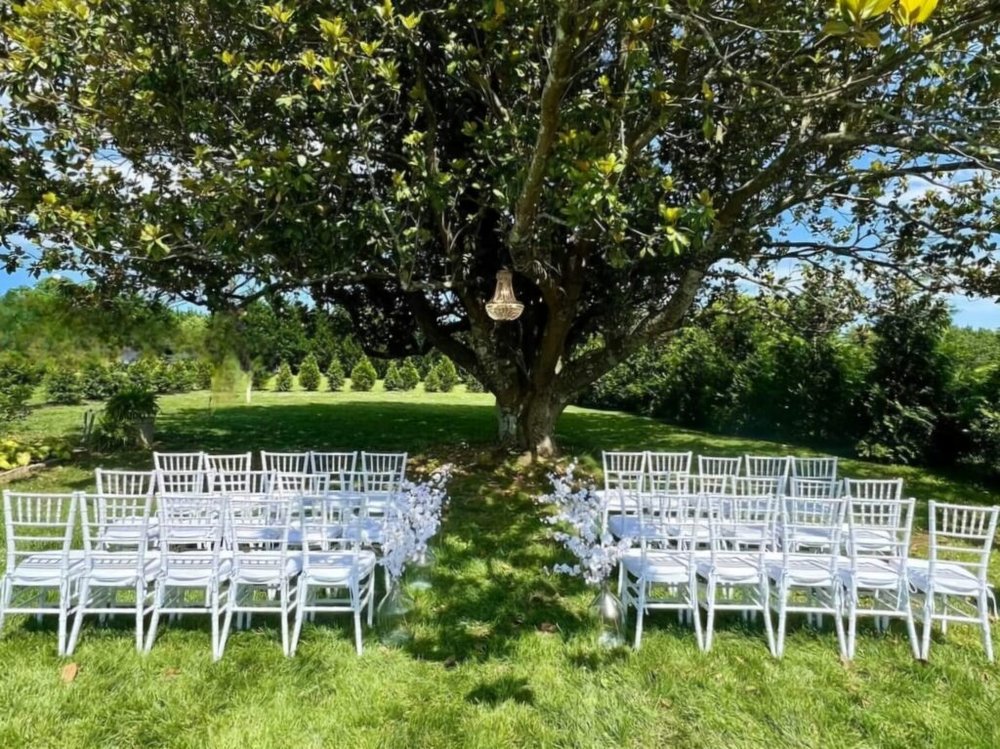 magnolia-wedding.jpg