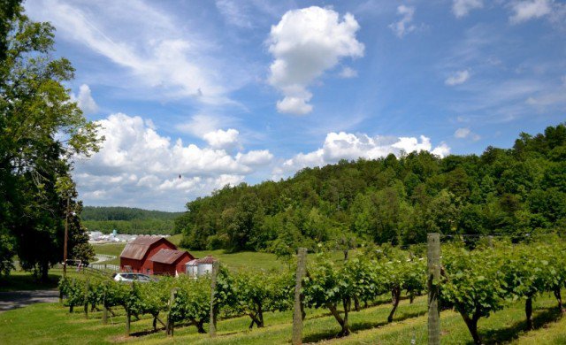 South Creek Vineyard & Winery Featured Image