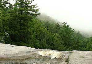 stelprdb5188122 (1).jpg